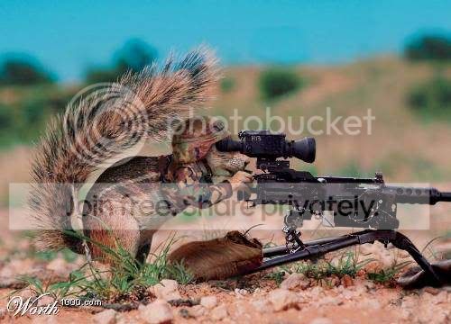animalsattack13.jpg