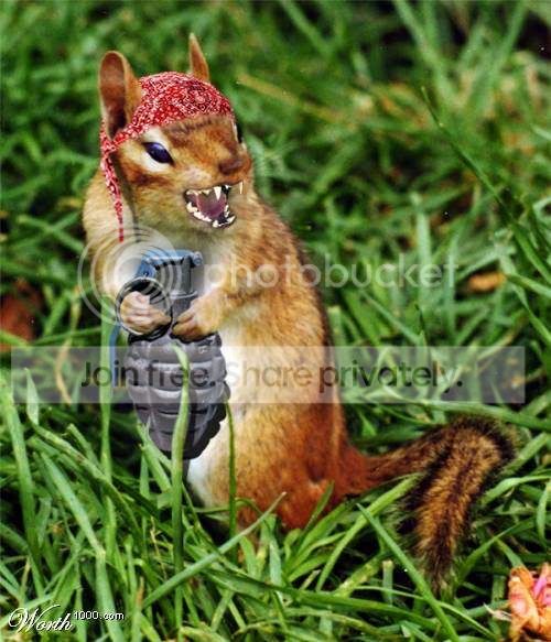 animalsattack2.jpg