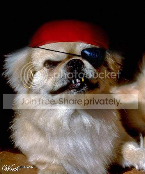 animalsattack4.jpg