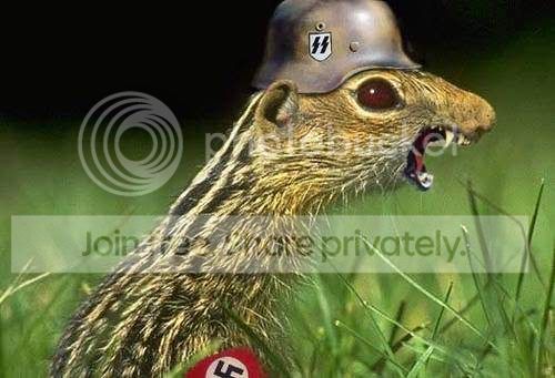 animalsattack5.jpg