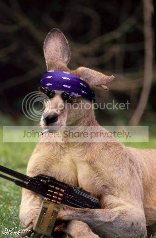 animalsattack7.jpg
