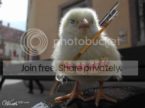 animalsattack8.jpg