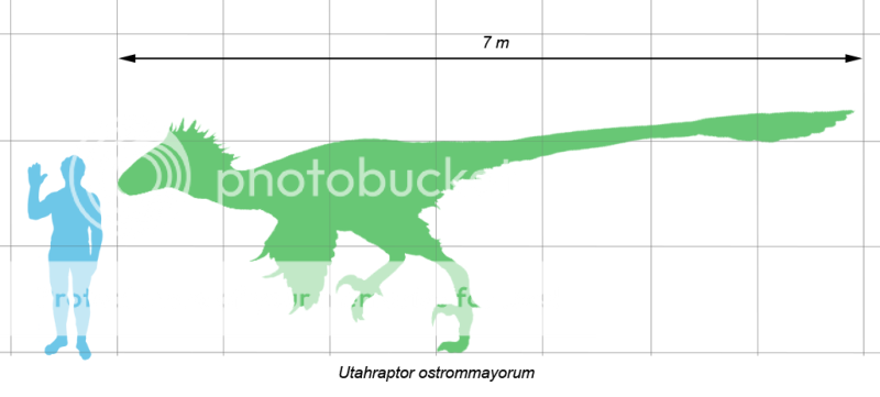 https://i3.photobucket.com/albums/y76/unnamednewbie13/Utahraptor_scale.png