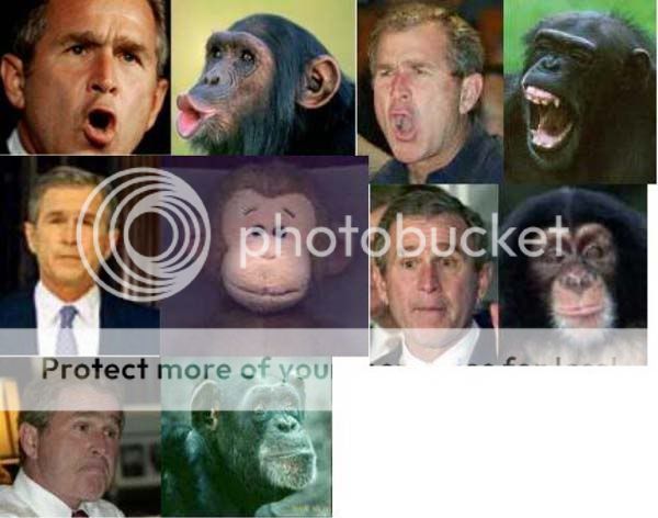 https://i3.photobucket.com/albums/y76/unnamednewbie13/bush_chimp.jpg