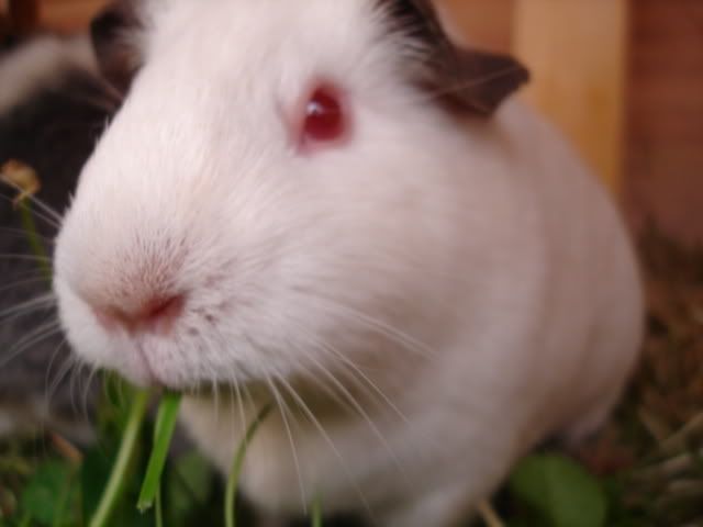 DSC05116.jpg