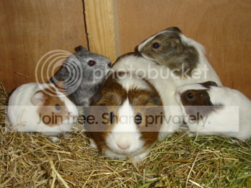 DSC05447.jpg