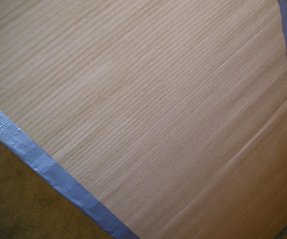 7032.jpg