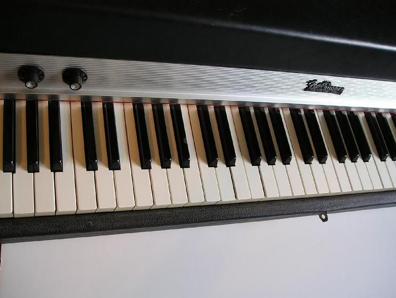 p5.jpg