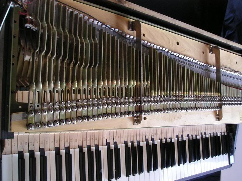 p8.jpg