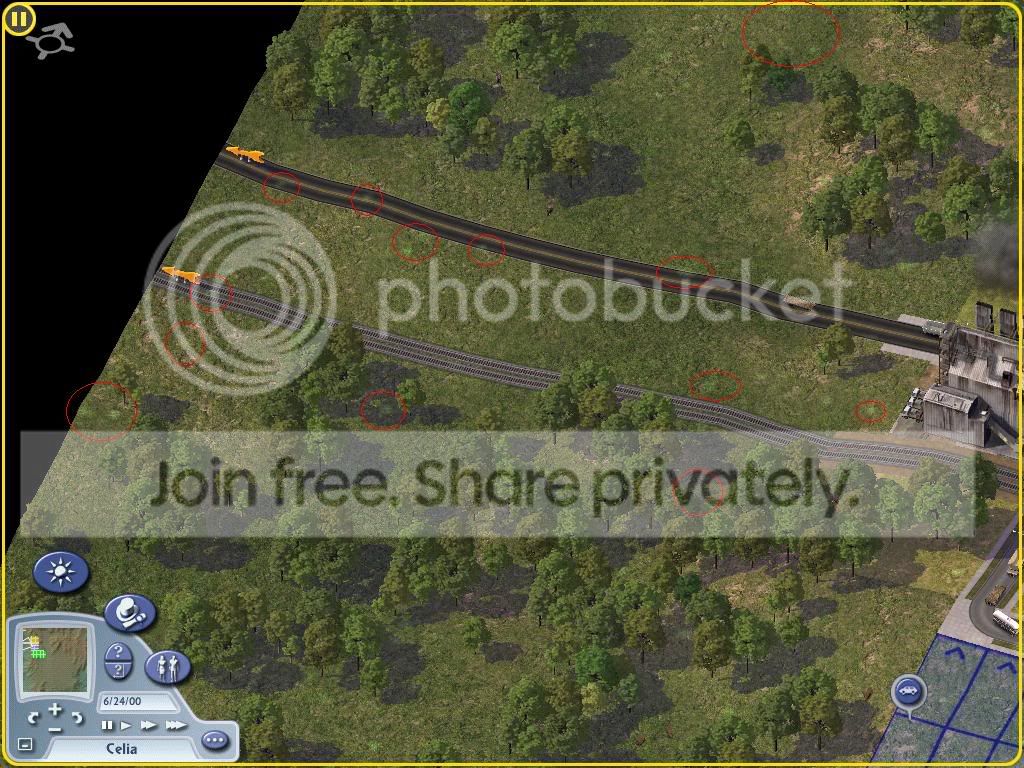 spot.jpg