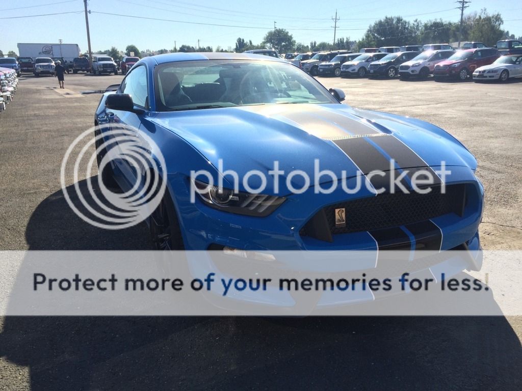 My 17' GT350 - Grabber blue w/ Black stripes! | 2015+ S550 Mustang ...