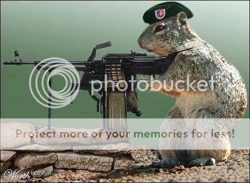 https://i3.photobucket.com/albums/y91/HalLoco/Squirrel_Gun.jpg