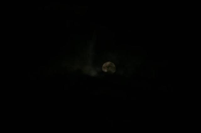 IMG_2597.JPG