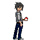 [PokeCommunity.com] The Grand Tournament