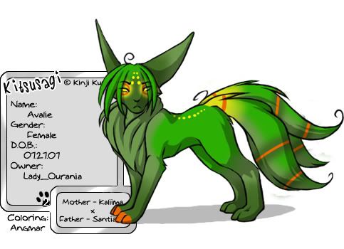 User Image